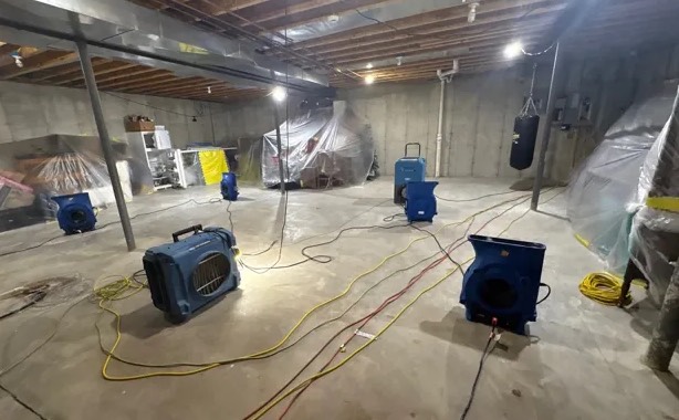 Basement Mold Cleanup in Denver, CO