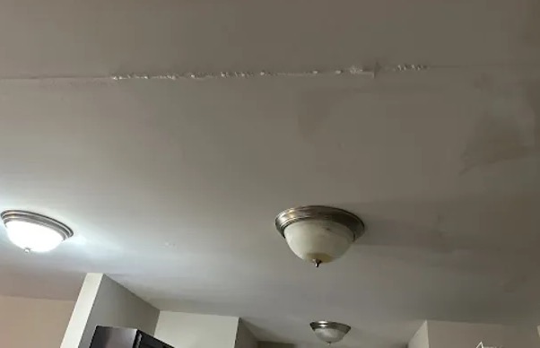 Ceiling Mold Removal in Denver, CO