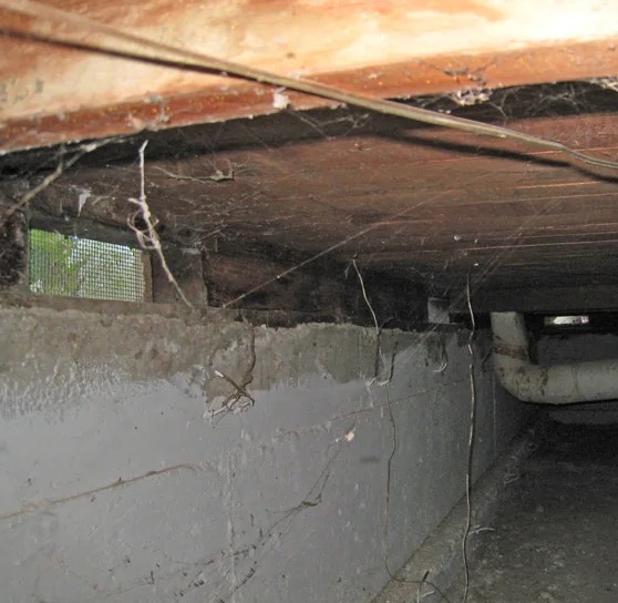 Crawlspace Water Damage Cleanup in Denver, CO