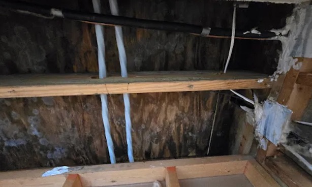 Attic Water Damage Restoration in Denver, CO