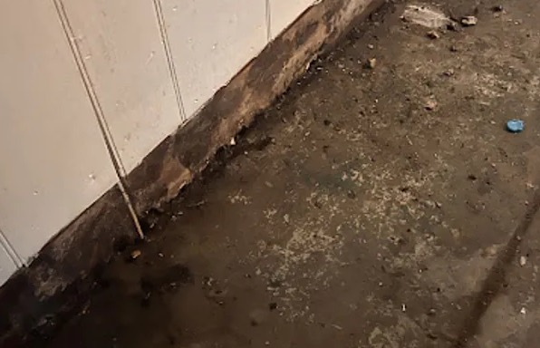 Sewage Backup Cleanup & Sanitation in Denver, CO