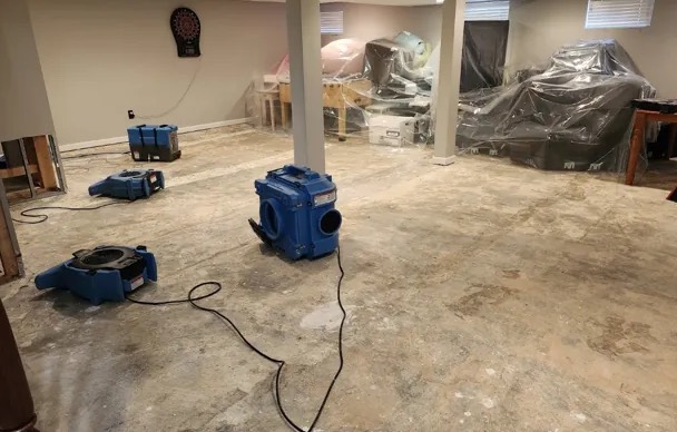 Dehumidification Services in Denver, CO